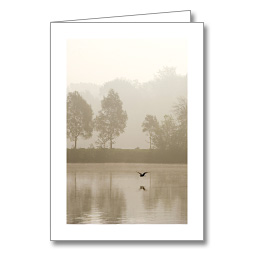 Sterbebild Nebel überm See