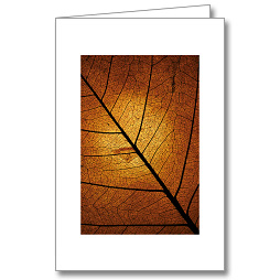 Trauerkarte Herbstblatt