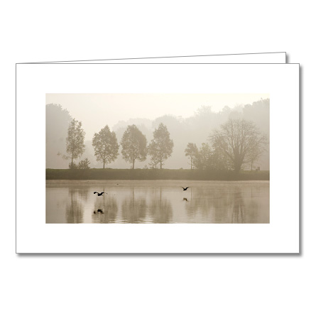 Trauerkarte Nebel überm See